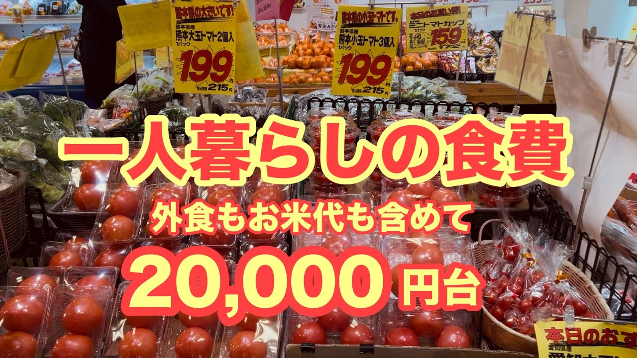 【食費節約】外食ありで月2万円台、本当だった