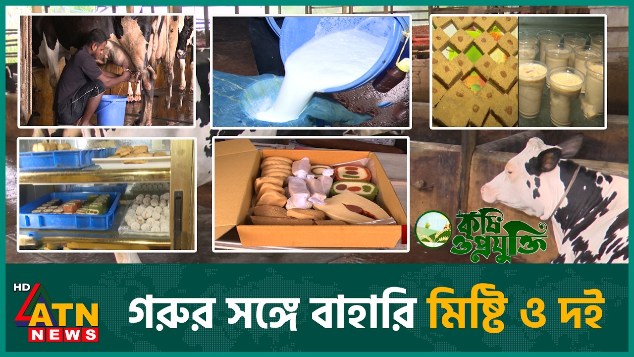 গরু, দুধ, মিষ্টি ও দই এক খামারেই | Krishi o Projukti | Cow Farming | Dairy Farm |Sweet | 22 Aug 2026