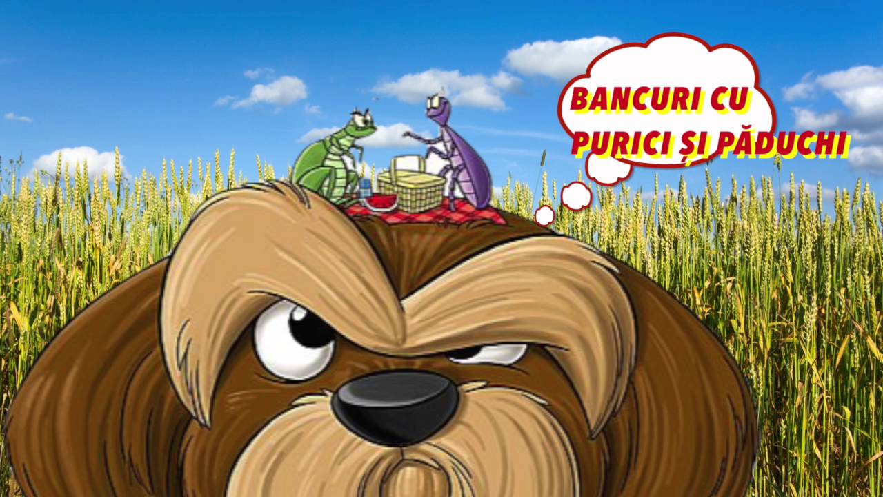 CELE MAI TARI BANCURI CU PURICI SI PADUCHI