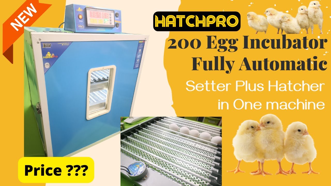 How to use 200 egg incubator fully automatic with automatic egg turning tray and humidity display
