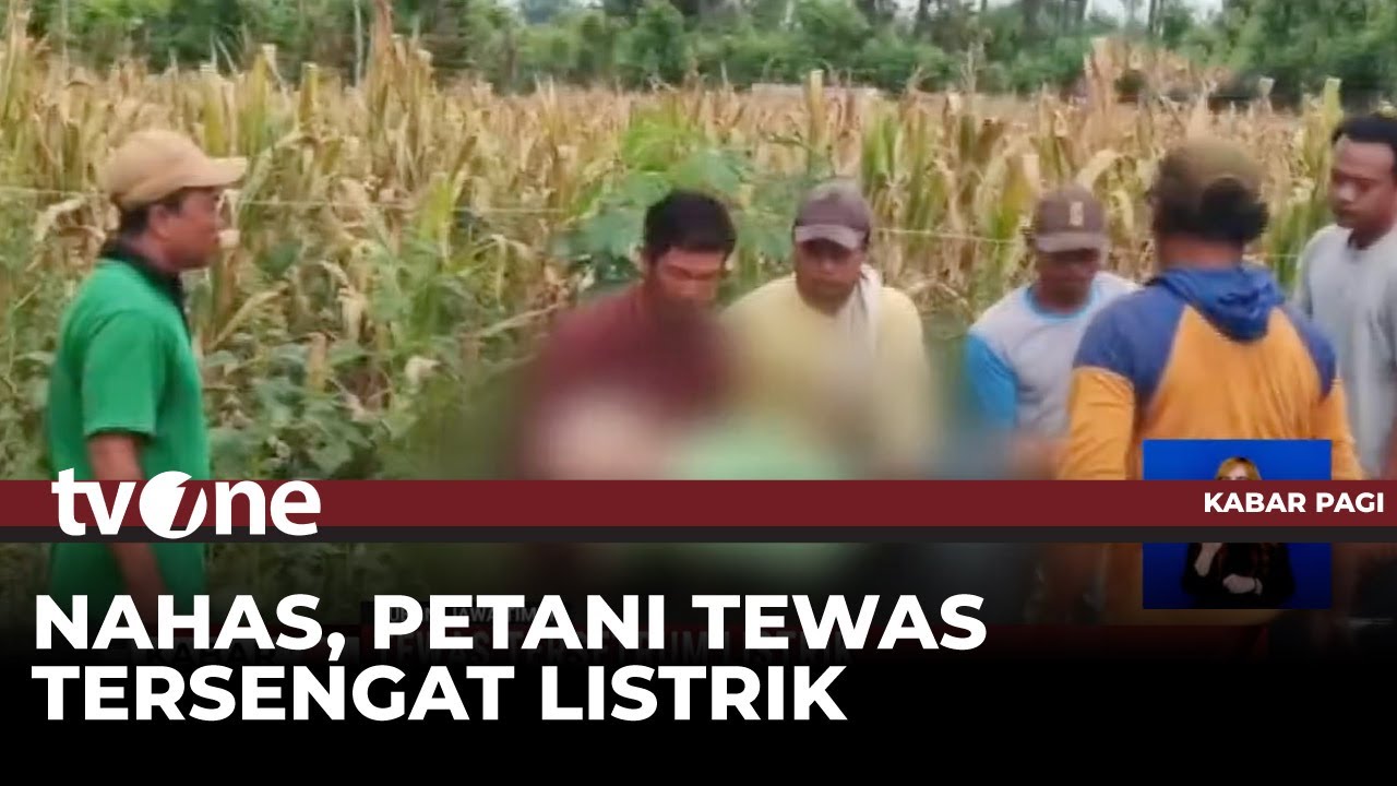 Petani di Tuban Tewas Diduga Tersengat Listrik saat Hendak Memanen Jagung | Kabar Pagi tvOne