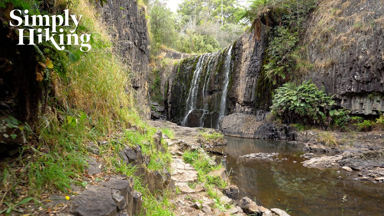 Walking To A Waterfall In Silence 👂 Tasmania Walking