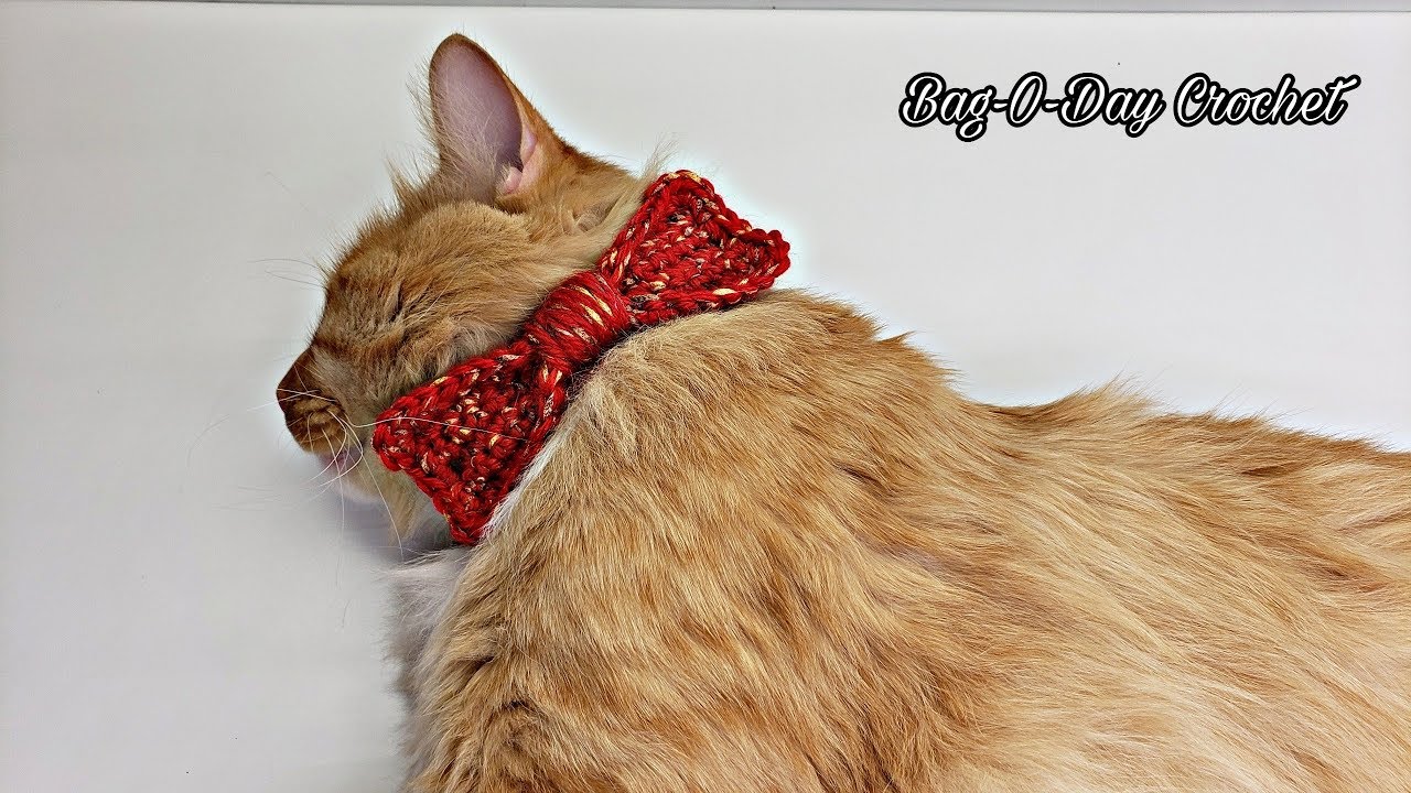 How To Crochet Easy Cat Dog Bow Tie Collar | Steven's Birthday Suit | BAGODAY CROCHET TUTORIAL #521