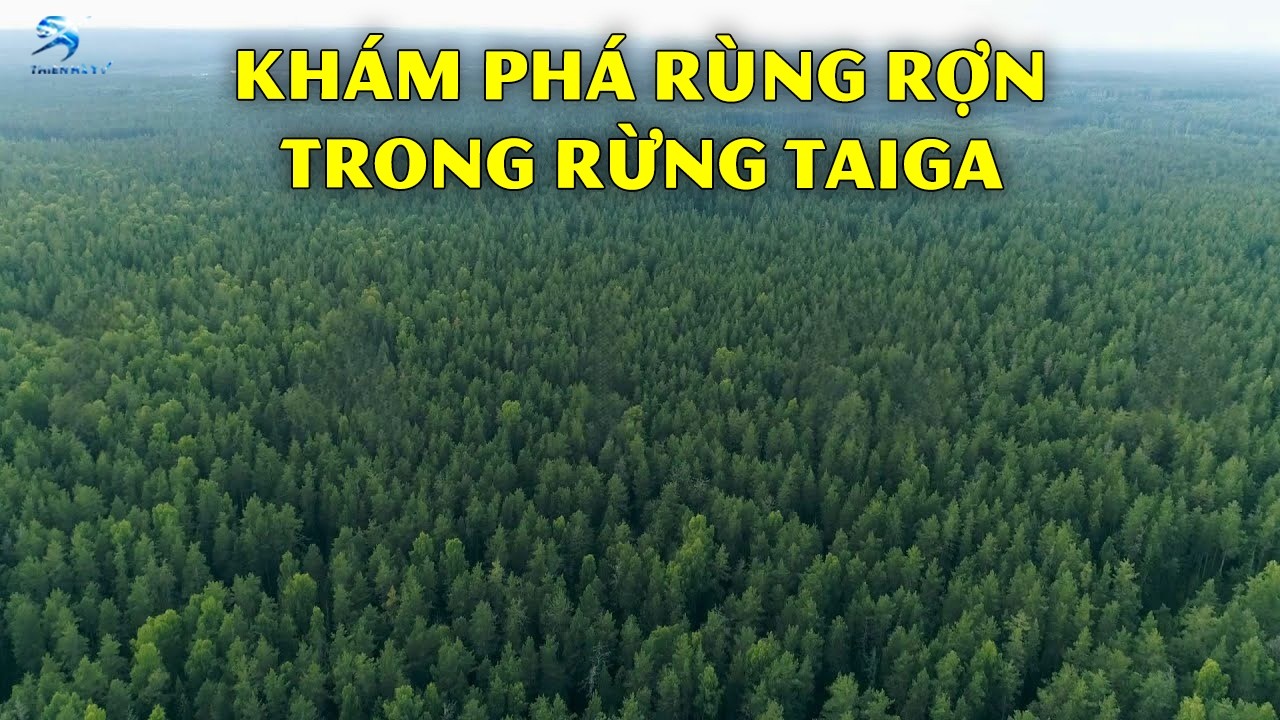 Khám Phá Rùng Rợn Ẩn Giấu Trong Rừng Rậm Taiga | Thiên Hà TV