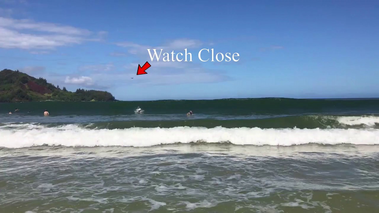 DJI Spark Crashed in the Ocean - Will it Fly?