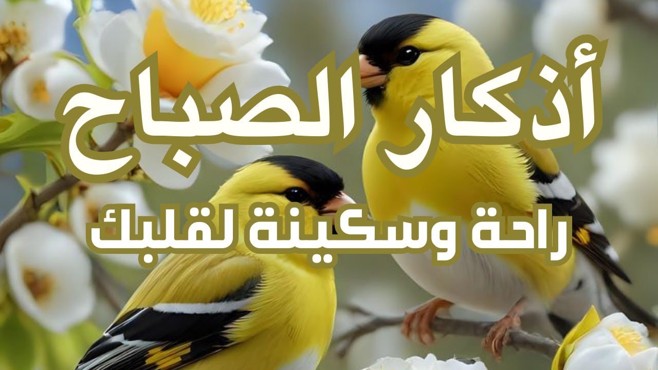أذكار الصباح - راحة نفسية لا توصف بصوت القارئ علاء عقل | Morning Athkar - Dzkir Pagi