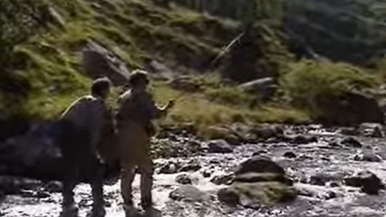 La pêche en France : La pêche à la mouche en torrent