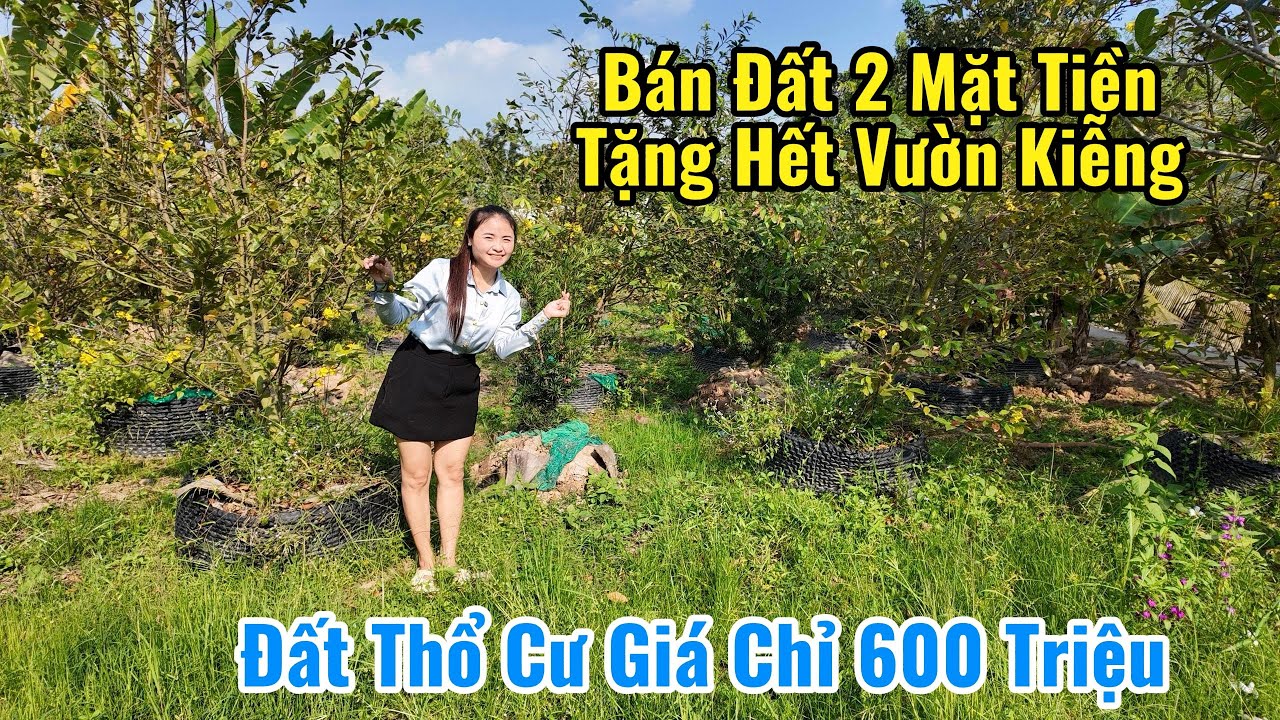 Đất 2 mặt tiền thổ cư viu sông mát mẻ giá rẻ xã Mỹ Phước huyện mang thít Vĩnh Long