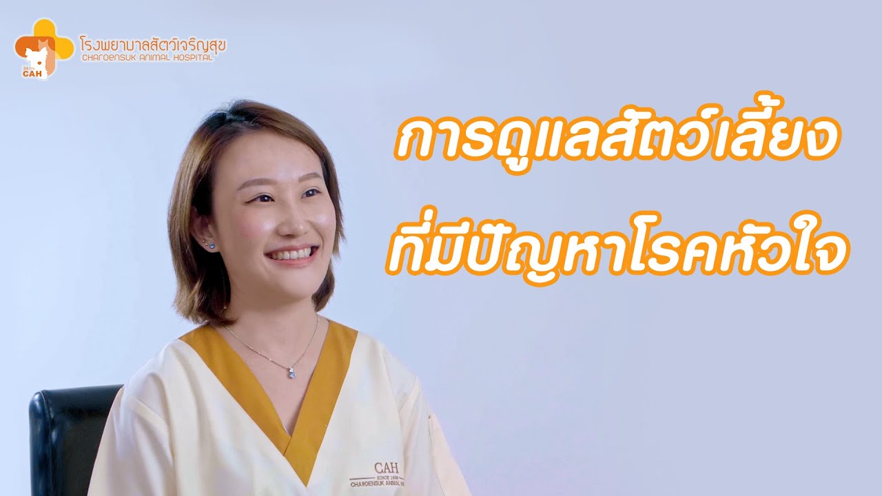 การดูแลสัตว์เลี้ยงที่มีปัญหาโรคหัวใจ - โรงพยาบาลสัตว์เจริญสุข | Charoensuk Animal Hospital