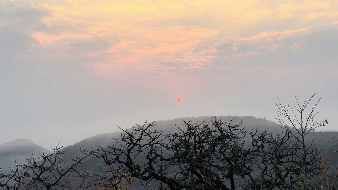 SUNRISE 🌅  Nature’s Talk 