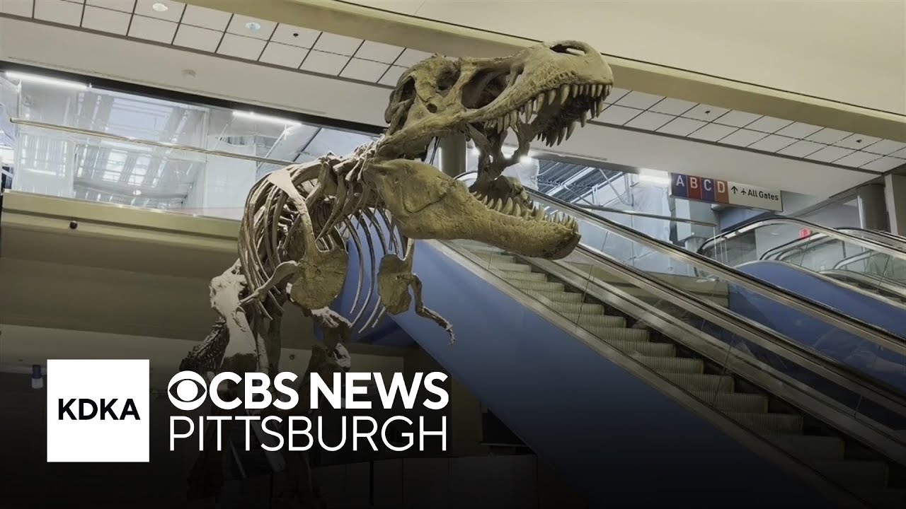 What's the future of the T. rex and train system at Pittsburgh International Airport?