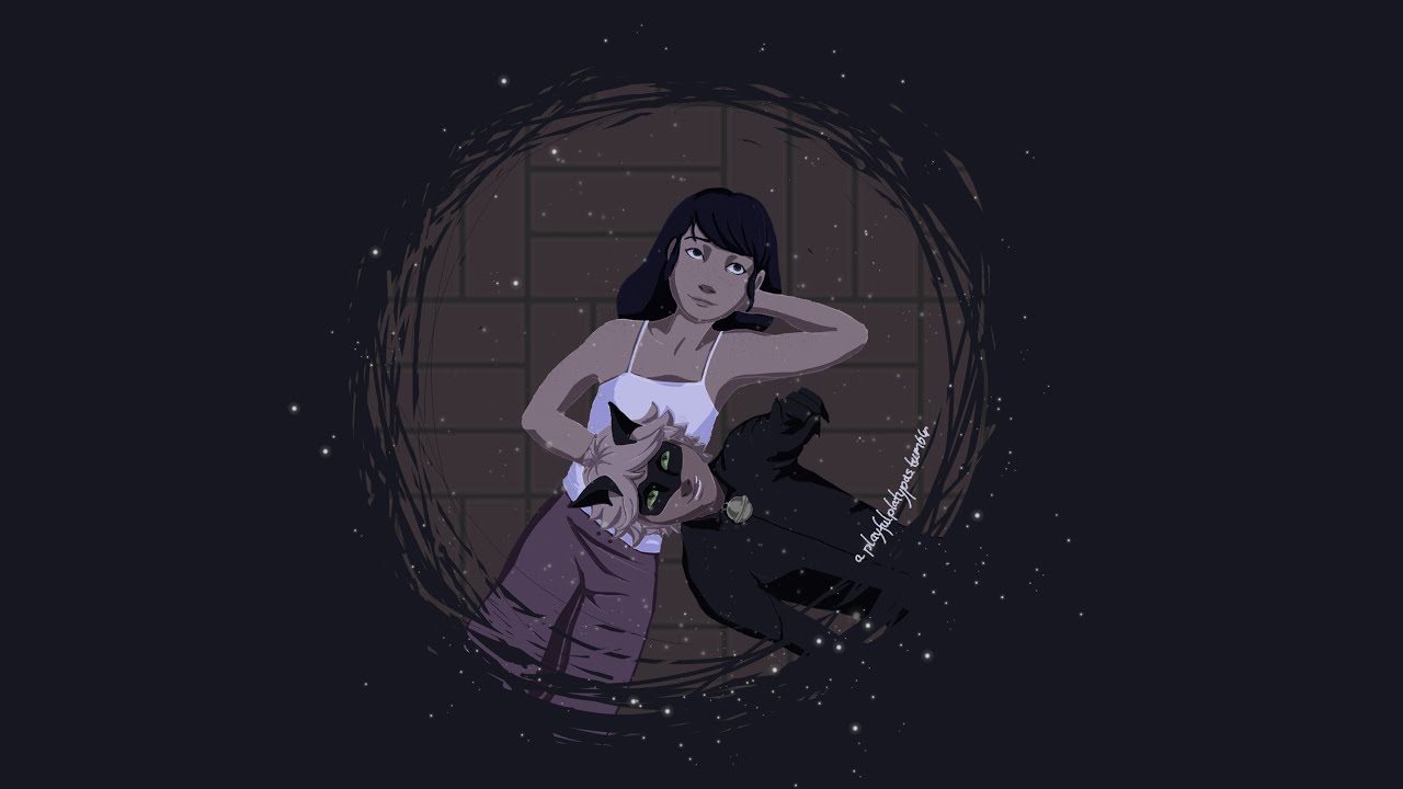 A Starlit Question  - A Miraculous Ladybug Fanfiction