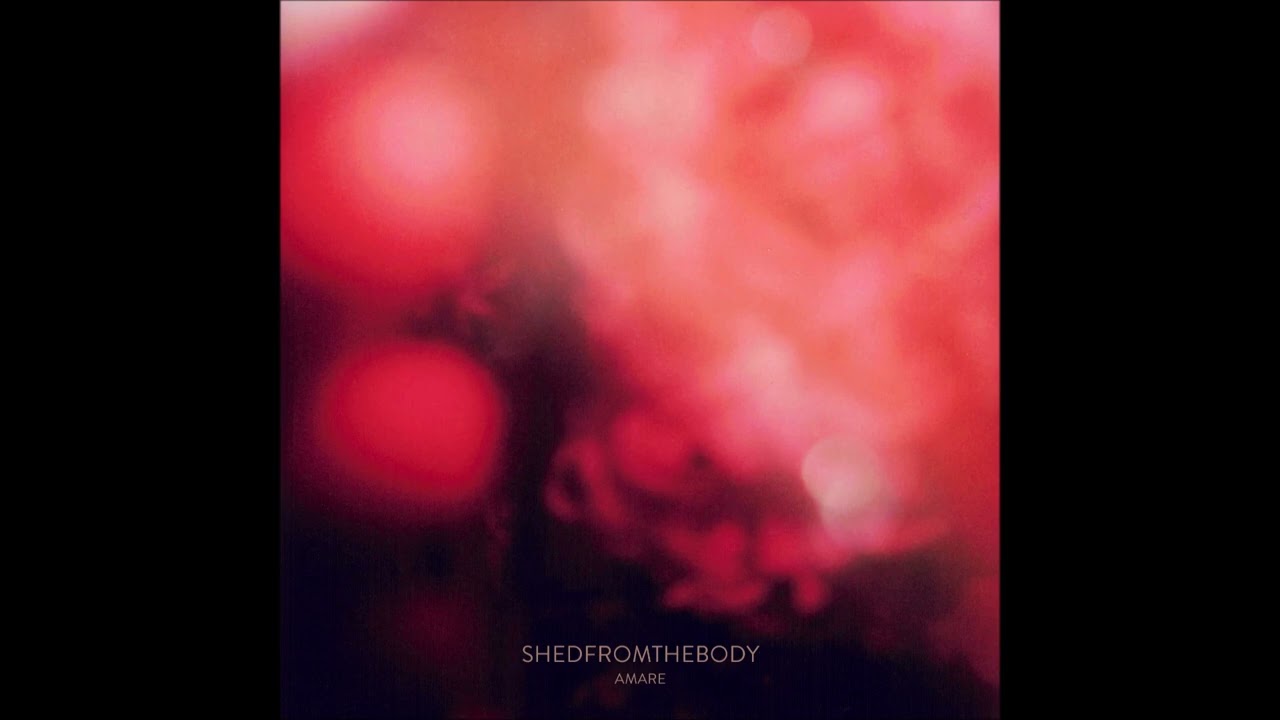 SHEDFROMTHEBODY - Amare [FULL ALBUM] 2023   **including lyrics**