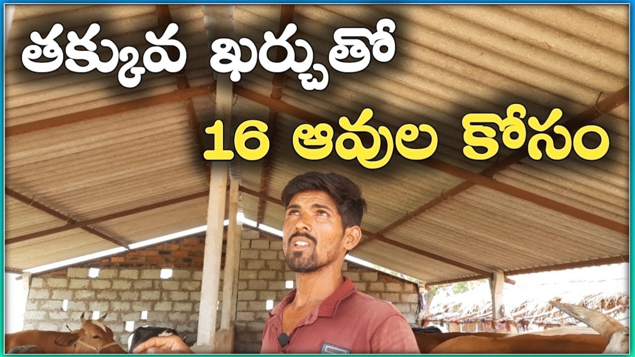 తక్కువ ఖర్చుతో షెడ్డు|low cost shed for dairy farms|mallesh adla|