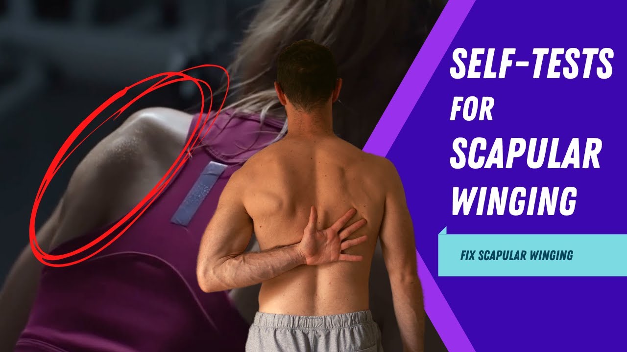 Самодиагностика крыловидного движения лопатки и внутренней ротации плеча | Waugh Personal Training