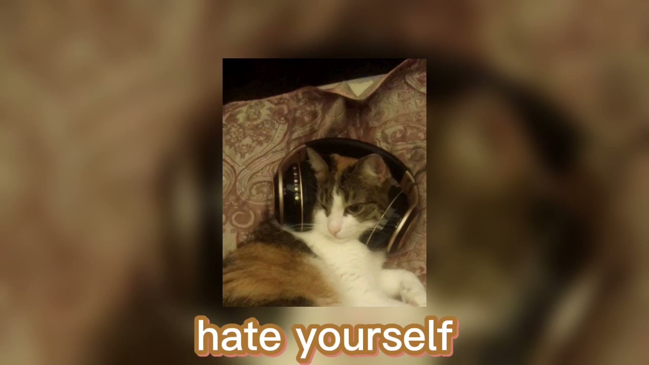 tv girl playlist ! [ sped up + pitched ]