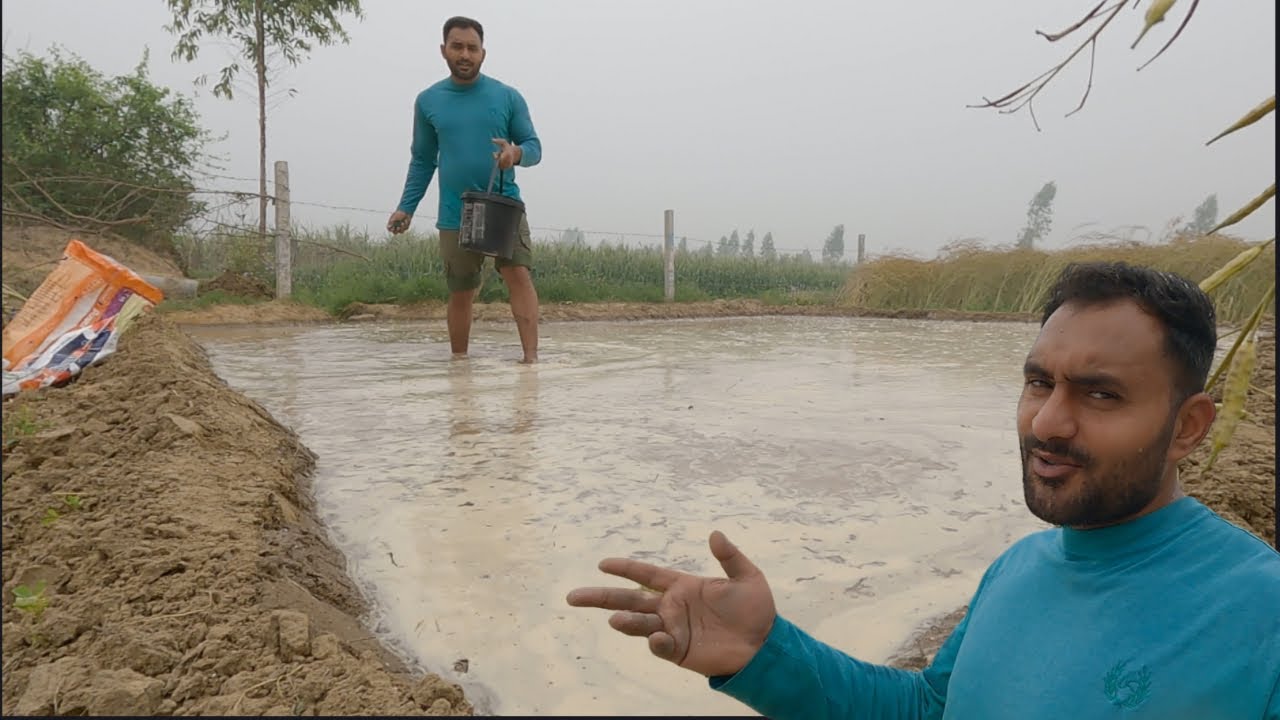 Dhan Ke Liye Paudha Laga Raha Hai (Paddy Nursery)