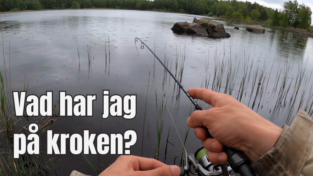 Artjakt med XUL-spö - vad fångar jag?