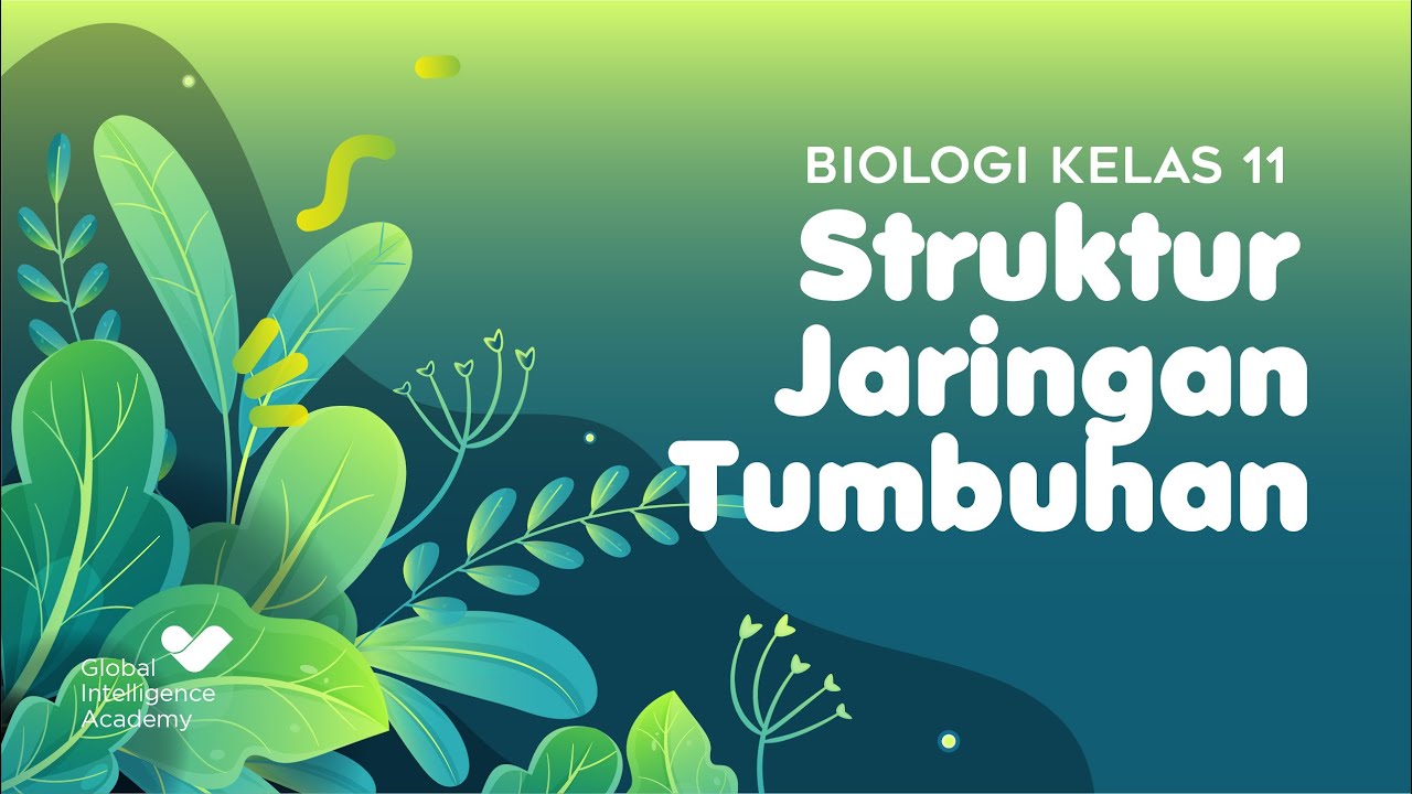 BIOLOGI Kelas 11 - Struktur Jaringan Tumbuhan | GIA Academy