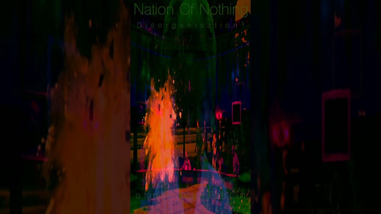 Nation Of Nothing - Disorganisation³ 