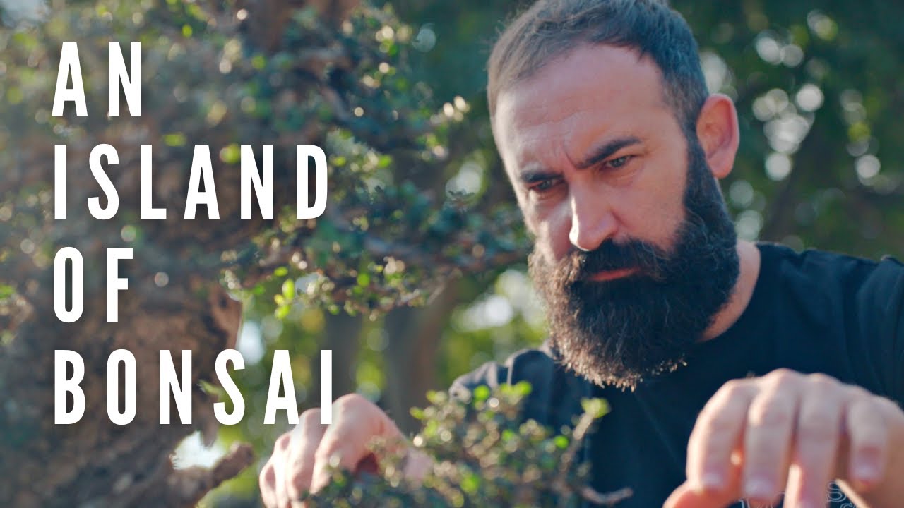An Island of Bonsai | The Bonsai Garden of Rafa Torres