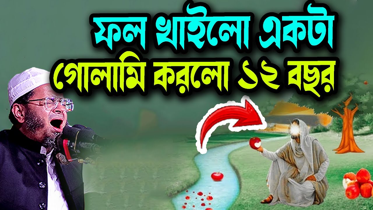 ফল খাইলো একটা গোলামি করলো ১২ বছর Waz New মুফতি নাসির উদ্দিন আনসারী নতুন ওয়াজ Waz 2026