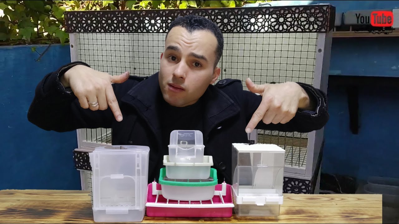شاهد الموصفات القياصية للوكالة الإقتصادية 🙆 التي يستعملها كبار المولوعين #للبادجي_عشق