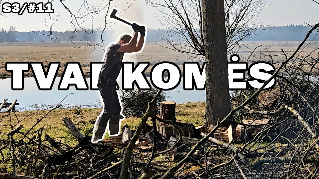 ukis.zemaitija/s3#11 medžiai, bio versio kodukas, mešlai