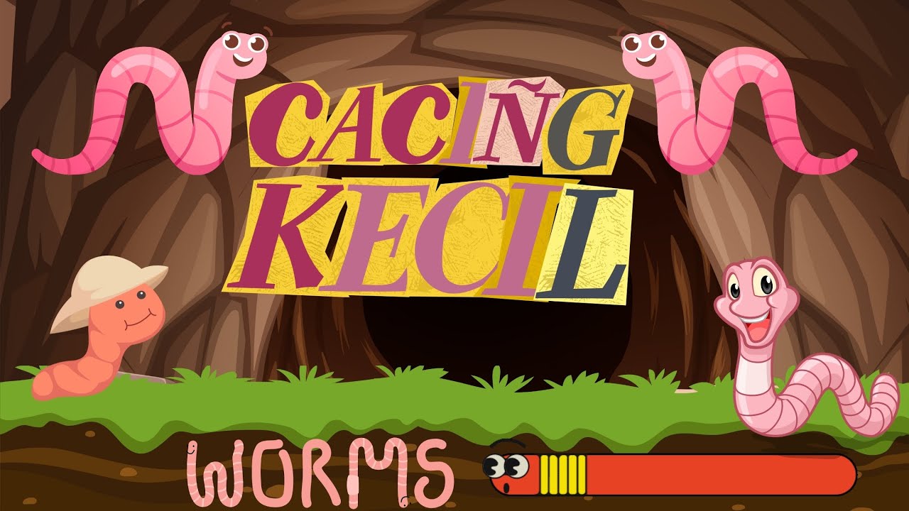 Cacing Kecil | Lagu Anak Indonesia | Lagu Anak Terbaru 2024