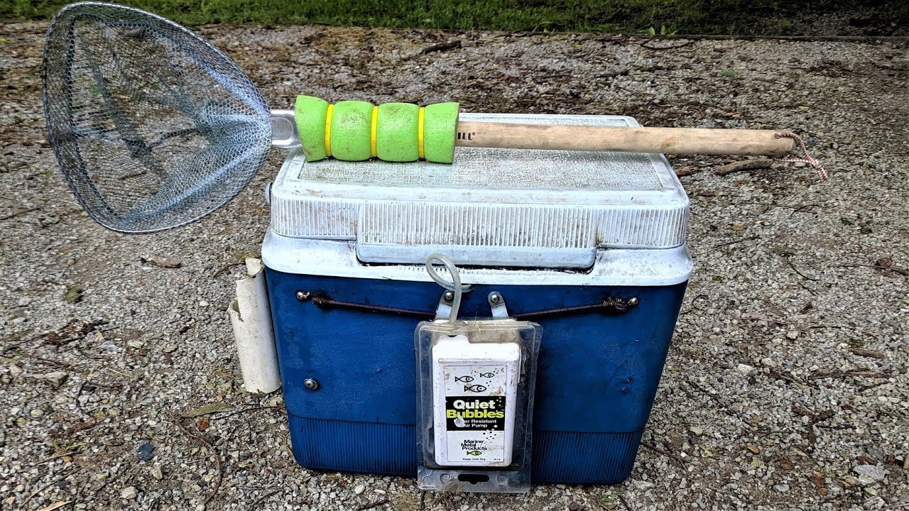 The ULTIMATE Flathead Catfish Bait!!