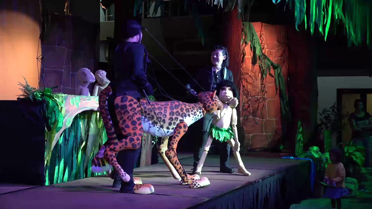 The Jungle Adventure: A Romp on the Wild Side