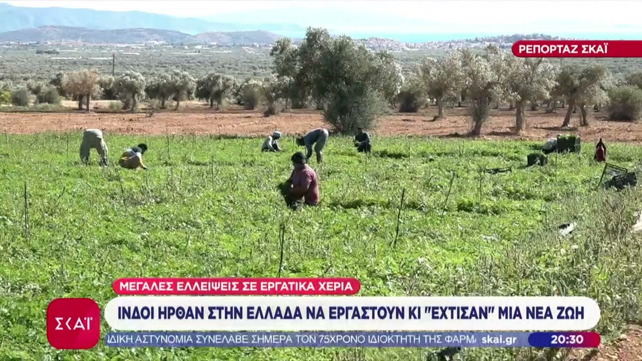 Ινδοί ήρθαν στην Ελλάδα να εργαστούν και «έχτισαν» μια νέα ζωή – Μεγάλες ελλείψεις σε εργατικά χέρια