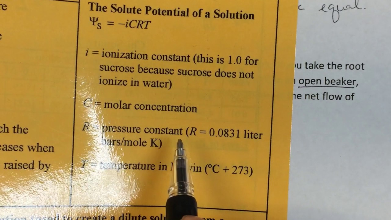 Water Potential