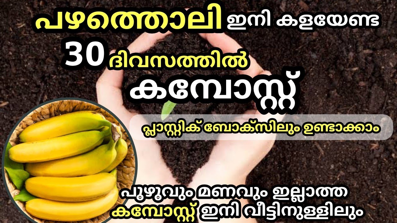 പഴത്തൊലി കൊണ്ടൊരു അടിപൊളി കമ്പോസ്റ്റ് //How to make compost from Banana Peel // Banana Peel Compost