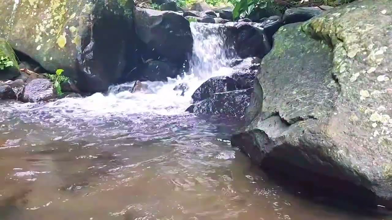 Natural River Sounds for Sleep Therapy
