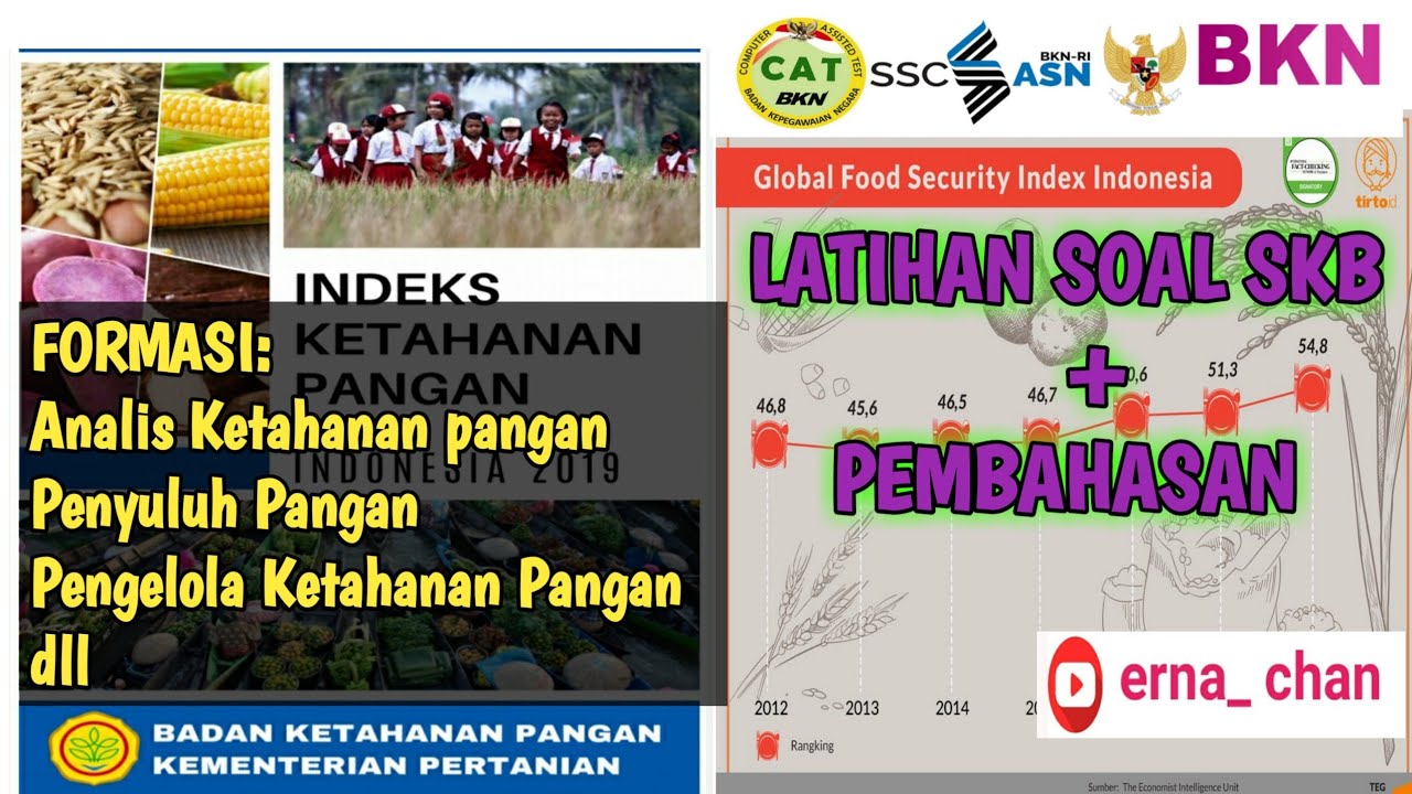 Soal SKB CPNS Terbaru Formasi Bidang Pangan [Topik Ketahanan Pangan Indonesia] #skbkementan