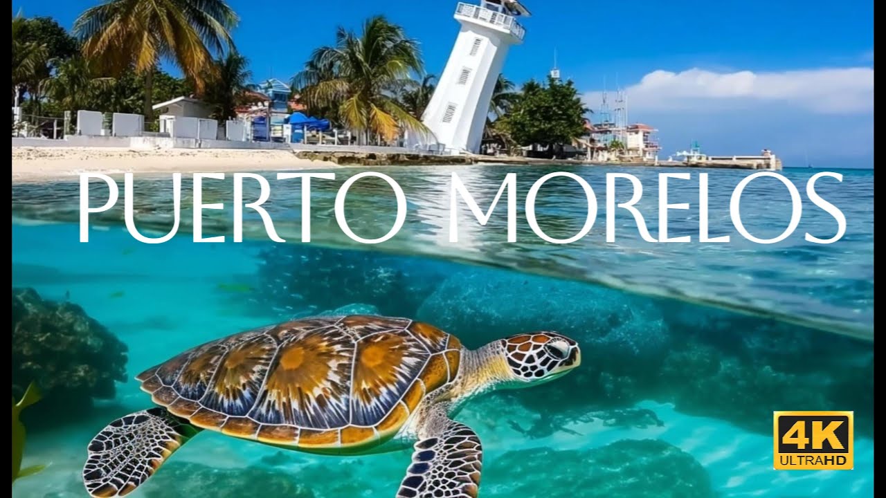 Caribbean Escape: Puerto Morelos Aerial Journey | Calming Ocean Sounds 4K