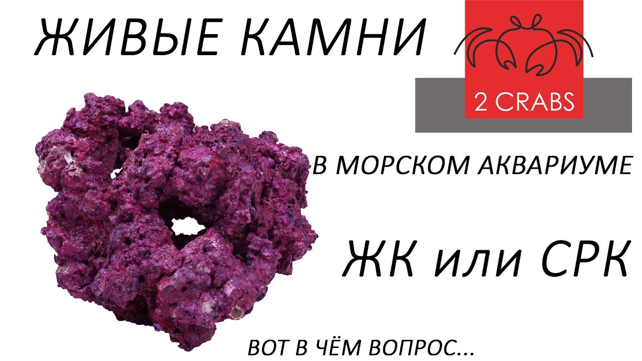 Живые камни в морском аквариуме.