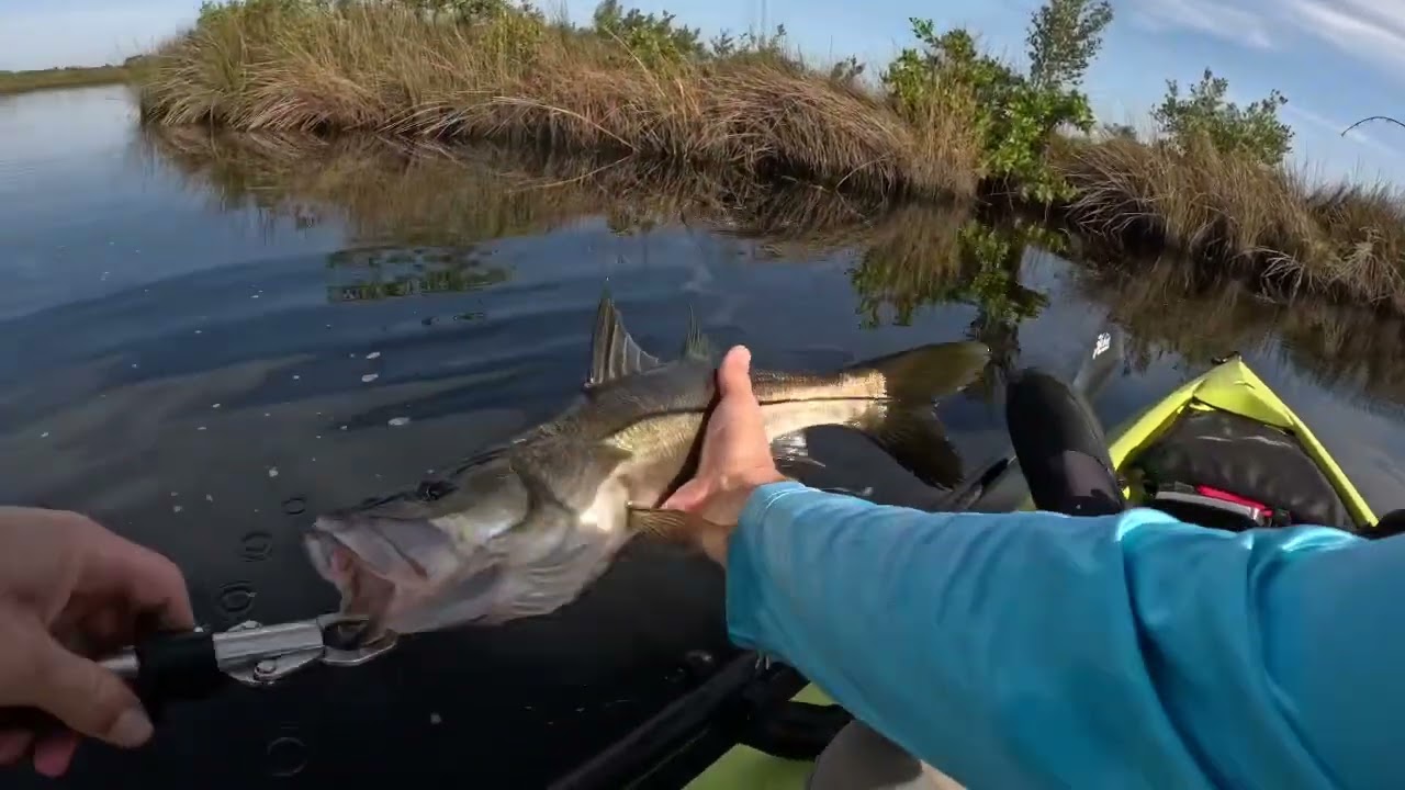 Z-Man vs DOA Paddle Tail Review