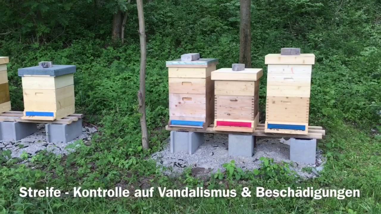 Bienenschutz - Kontrolle der St&ouml;cke auf Vandalismus + Besch&auml;digungen