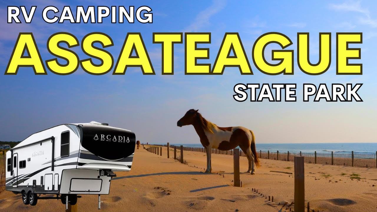 Family RV Trip to Assateague State Park Campground ~ Horses, Beaches, and fun East Coast Camping!