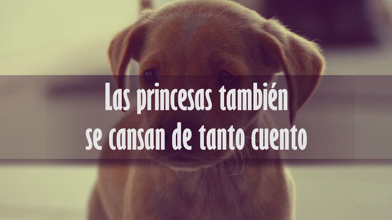 Frases de amor prohibido