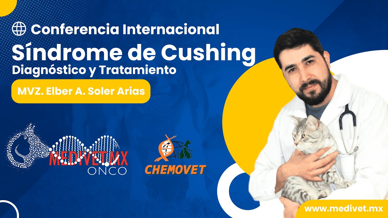 Síndrome de Cushing: Diagnóstico y Tratamiento | MVZ. Elber A. Soler Arias