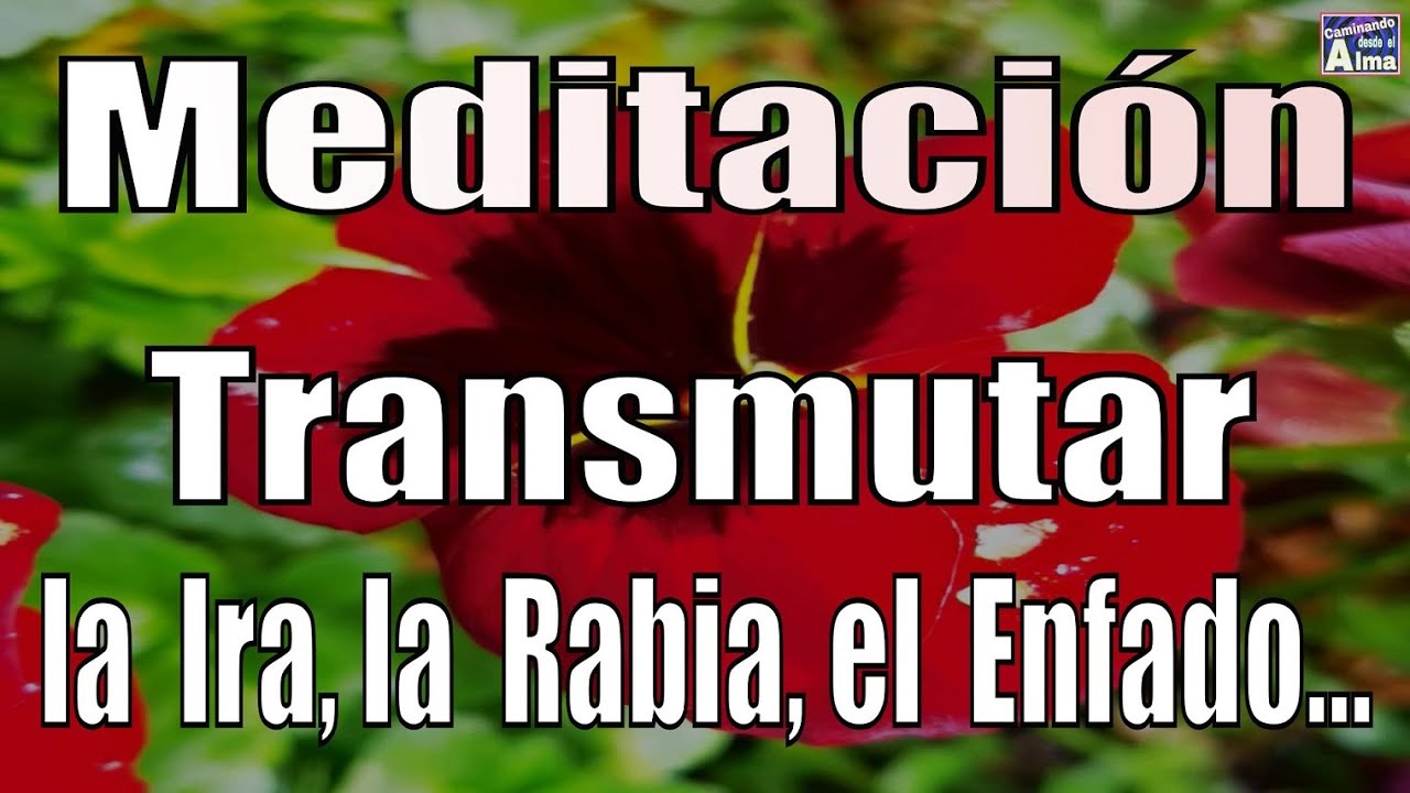 Meditación. Transmutar la Ira, la Rabia, el Enfado...