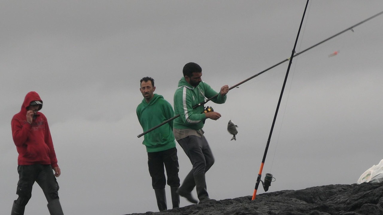 PESCADORES DE VOLTA 21 02 2026