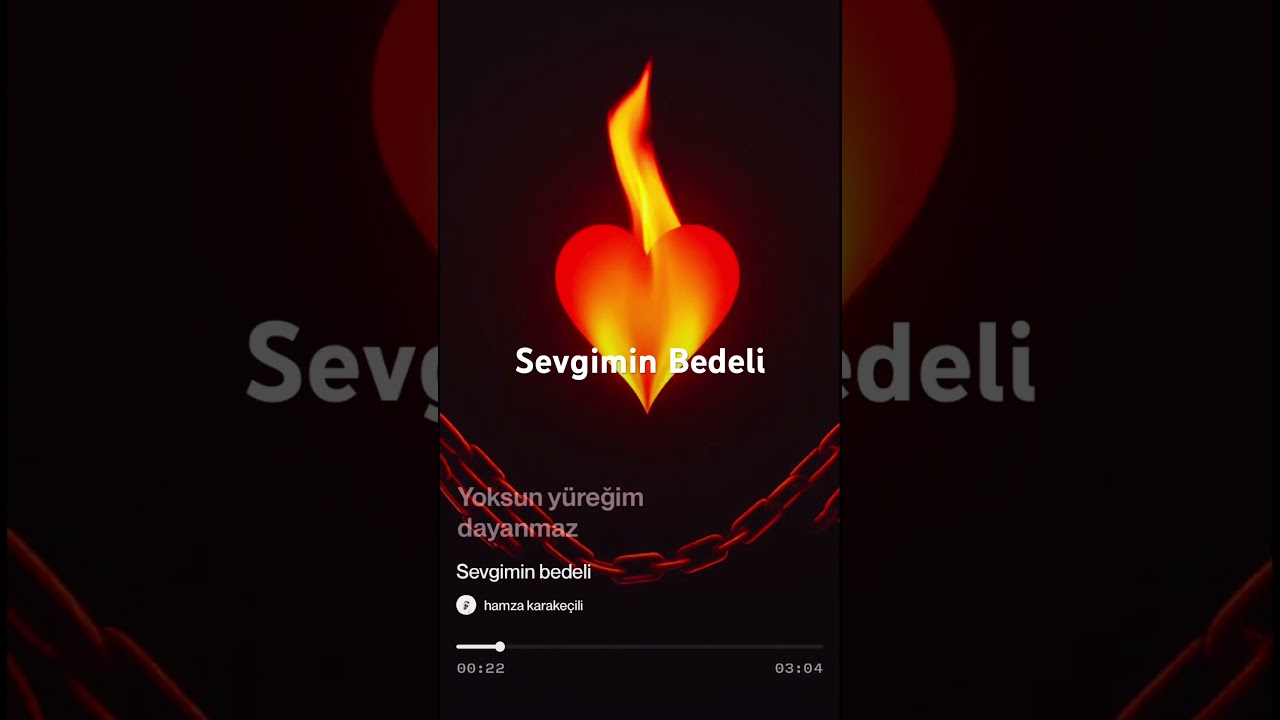 Sevgimin bedeli 