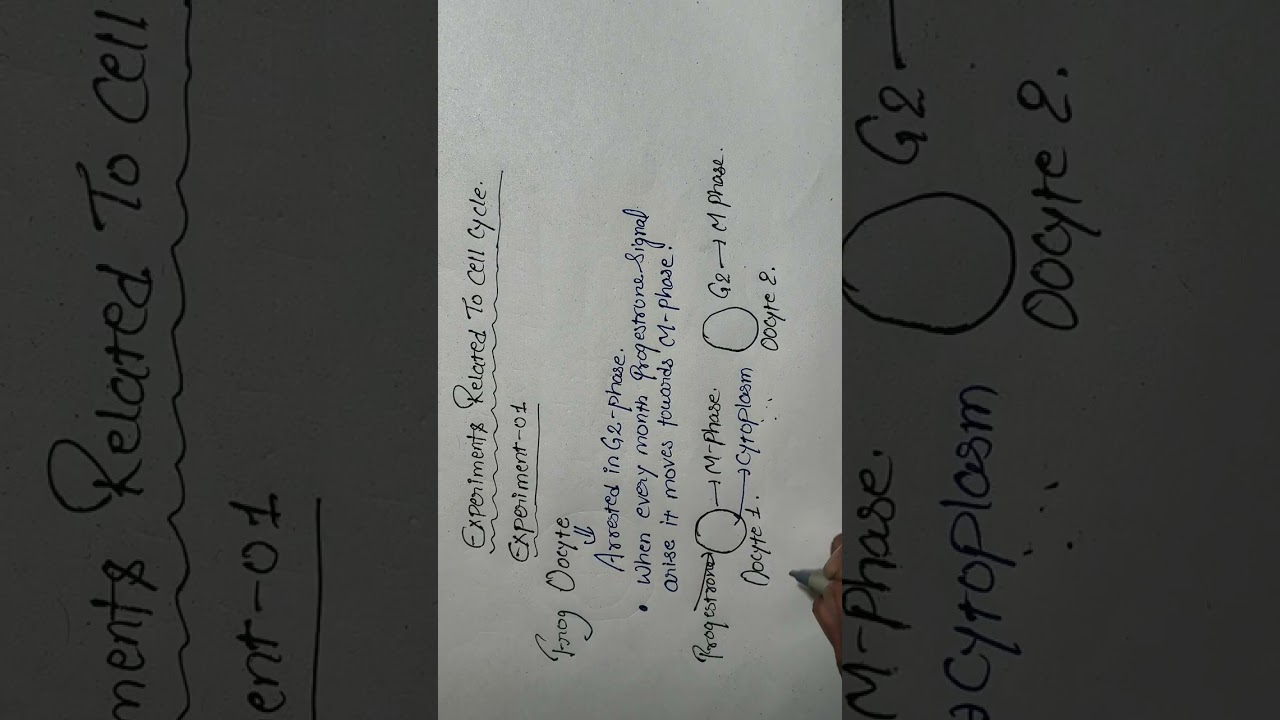Experiments related to CELL CYCLE (Lecture:05)