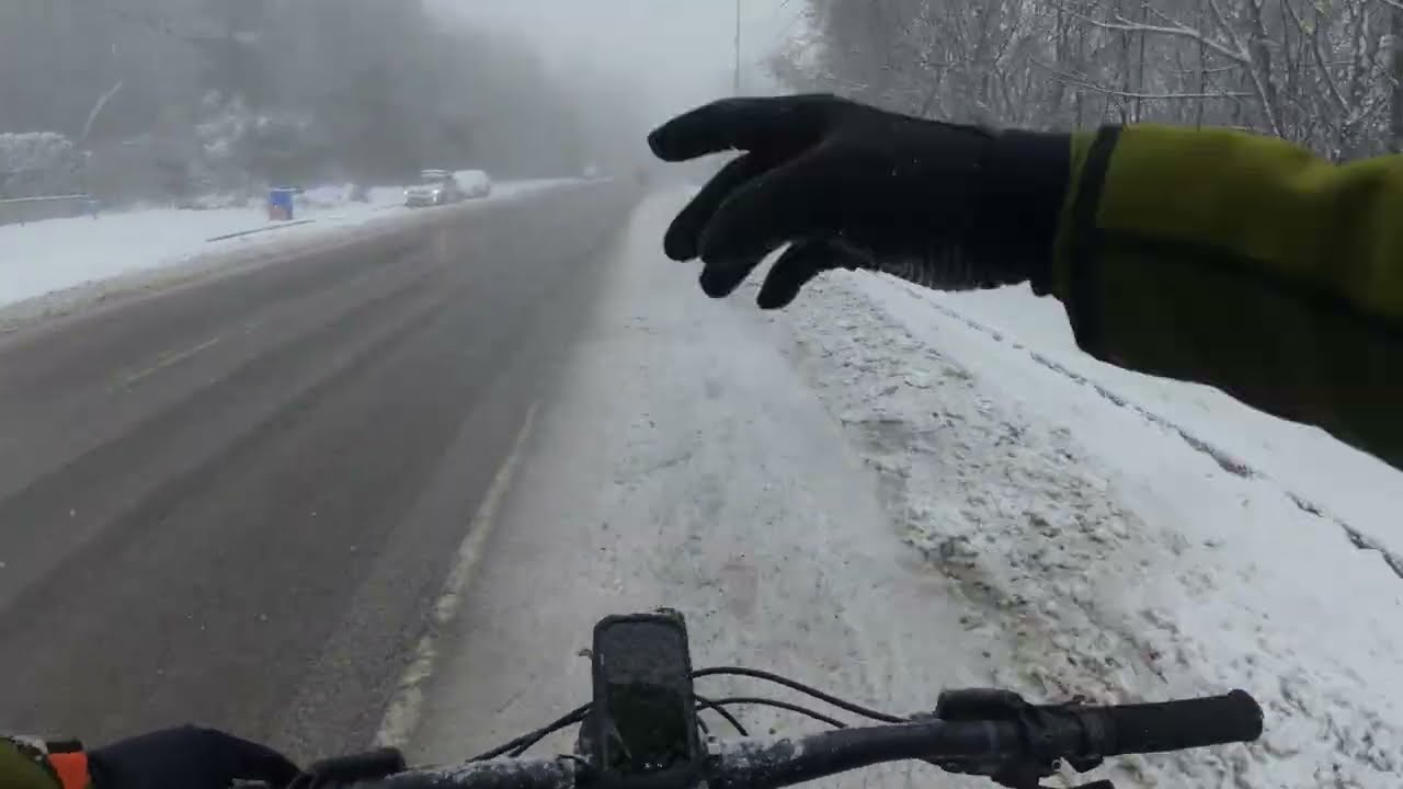 Kоледно моржуване