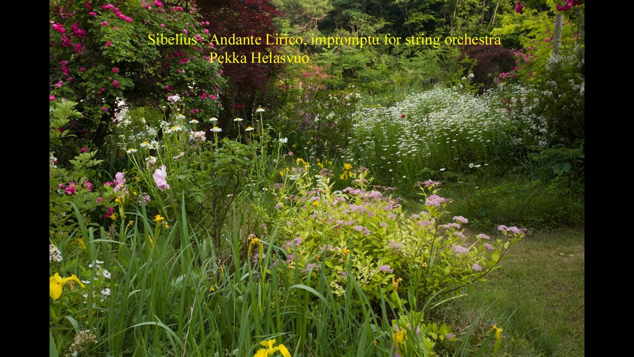 Sibelius : Andante Lirico, impromptu for string orchestra