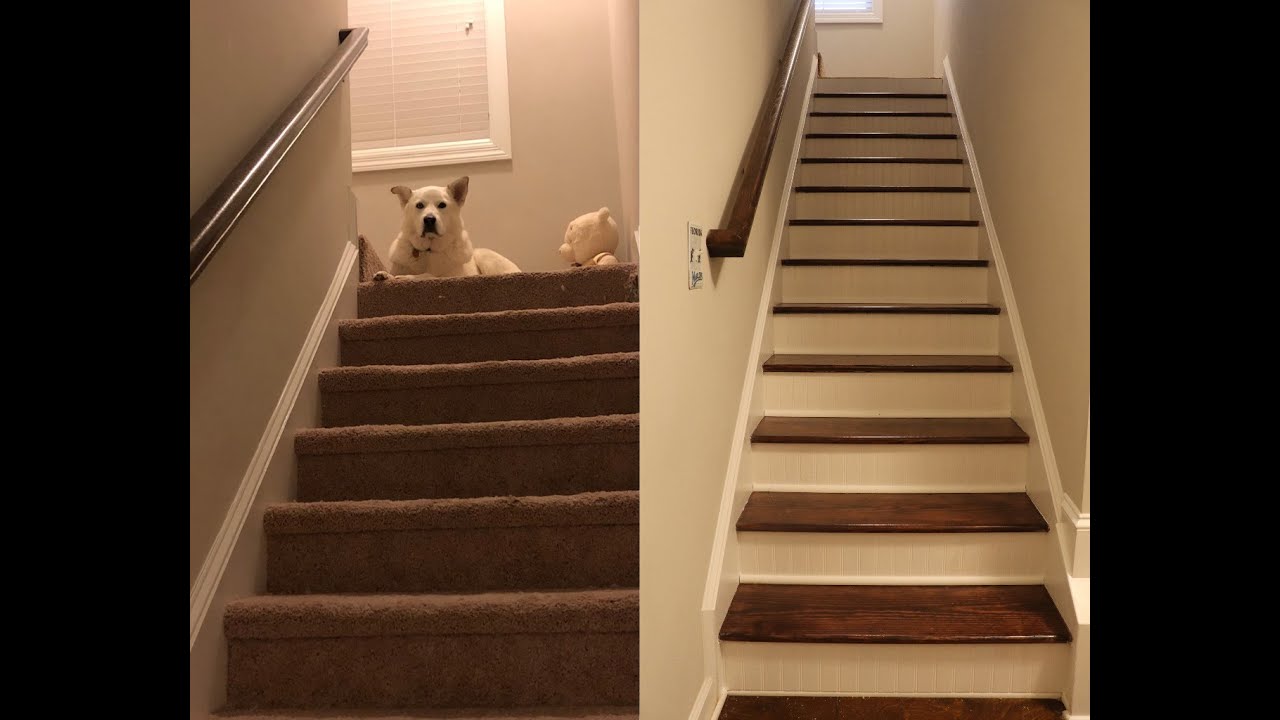 Did we redo our stairs for under $80?! || UGLY CARPET STAIR MAKEOVER